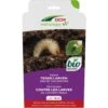 DCM Aaltjes Tegen Larven Van De Taxuskever (Kraussi-Guard®) - Bestelcode - 10 M² (5 Mio. Aaltjes) -Plantenverzorgings Winkel dcm aaltjes tegen larven van de taxuskever kraussi guard bes 1000x1000 64830032bdf28 l