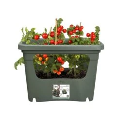 Elho Plantenbak Green Basics Stack & Grow Large Groen -Plantenverzorgings Winkel elho plantenbak green basics stack grow large groen 800x800 620e3d4de4622 l