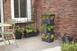 Elho Plantenbak Green Basics Stack & Grow Large Zwart -Plantenverzorgings Winkel elho plantenbak green basics stack grow large zwart 800x534 620e3d4f78fb3 l