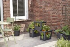 Elho Plantenbak Green Basics Stack & Grow Large Zwart -Plantenverzorgings Winkel elho plantenbak green basics stack grow large zwart 800x534 620e3d4fc59c1 l