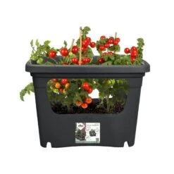 Elho Plantenbak Green Basics Stack & Grow Large Zwart -Plantenverzorgings Winkel elho plantenbak green basics stack grow large zwart 800x800 620e3d4eed857 l