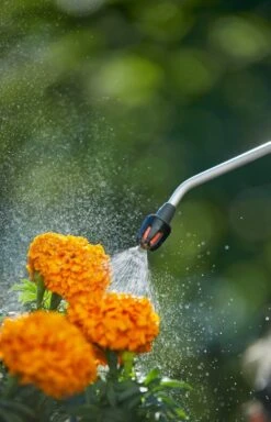 GARDENA Drukspuit 5 L -Plantenverzorgings Winkel gardena drukspuit 5 l 1619704865 1 l