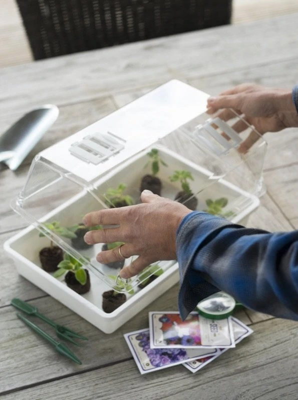 Nature deksel voor kweekbak 55x31cm Nature Deksel Voor Kweekbak 55x31cm -Plantenverzorgings Winkel nature deksel voor kweekbak 55x31cm 595x800 6214a0230c942 l