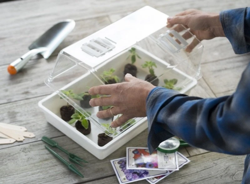 Nature deksel voor kweekbak 55x31cm Nature Deksel Voor Kweekbak 55x31cm -Plantenverzorgings Winkel nature deksel voor kweekbak 55x31cm 800x587 6214a0233f631 l