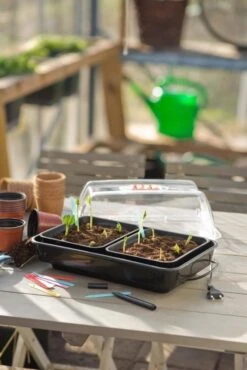 Nature Kweekkas Verwarmd 38x24cm -Plantenverzorgings Winkel nature kweekkas verwarmd 38x24cm 534x800 6214a026e40ab l