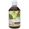 Pokon Bio Plantkuur Bladinsectgevoelige Planten Concentraat 500ml -Plantenverzorgings Winkel pokon bio plantkuur bladinsecten 500ml 1614005885 l