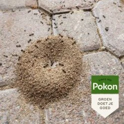 Pokon Tegen Mieren Korrels 400gr -Plantenverzorgings Winkel pokon tegen mieren korrels 400gr 1000x1000 6221fb52c5ede l