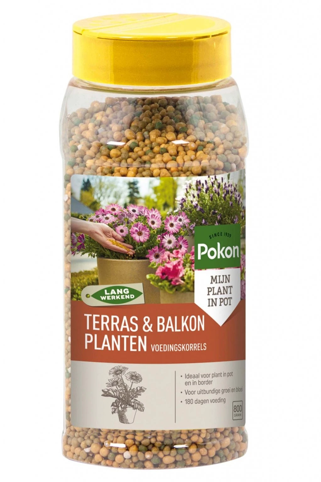 Pokon Terras & Balkon Planten Voedingskorrels 800g Pokon Terras & Balkon Planten Voedingskorrels 800g -Plantenverzorgings Winkel pokon terras balkon voedingskorrels 800gr 1582799387 l